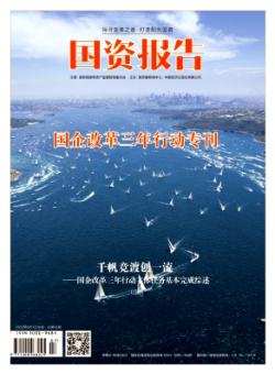 国资报告期刊